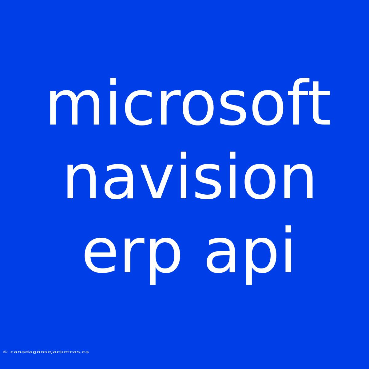 Microsoft Navision Erp Api