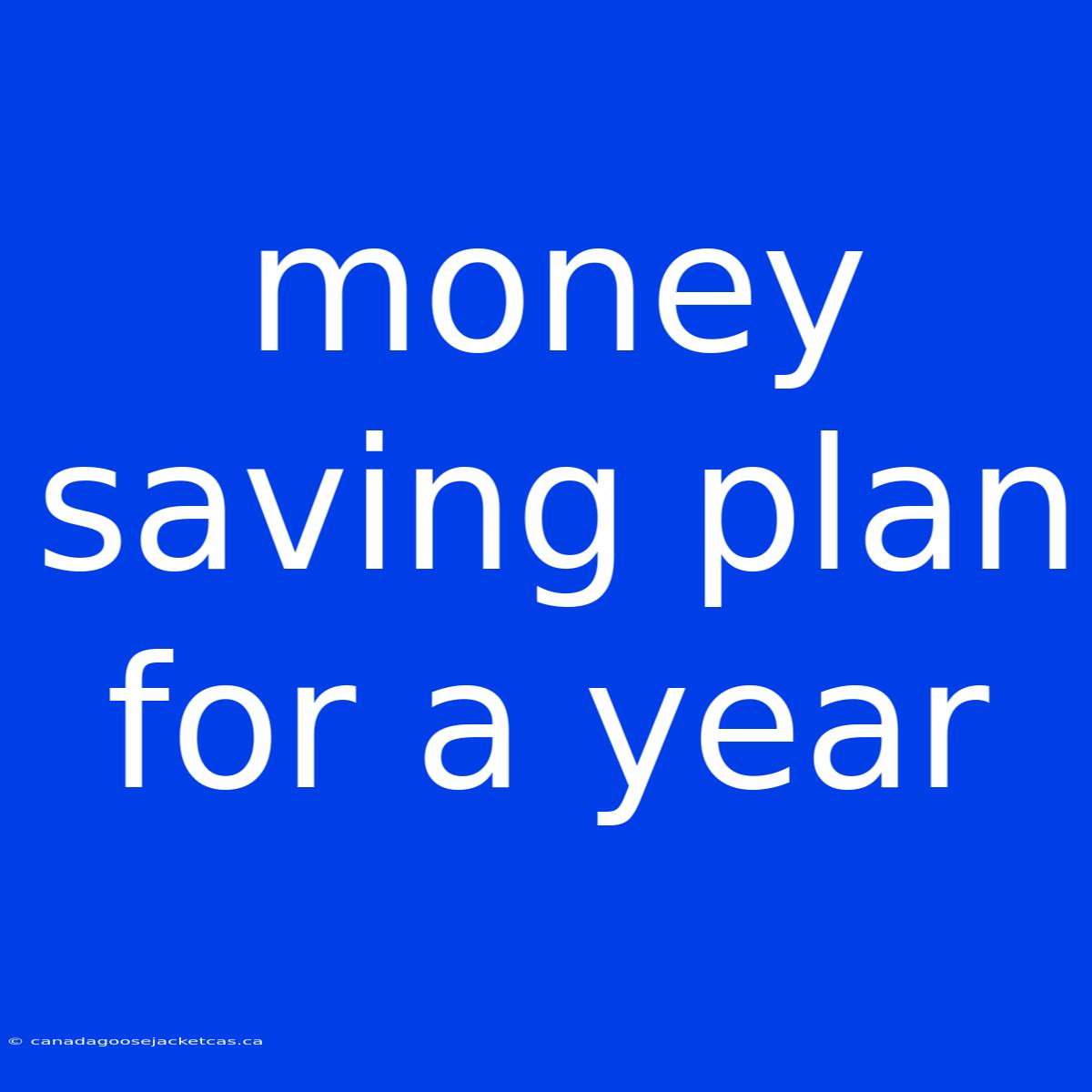 Money Saving Plan For A Year