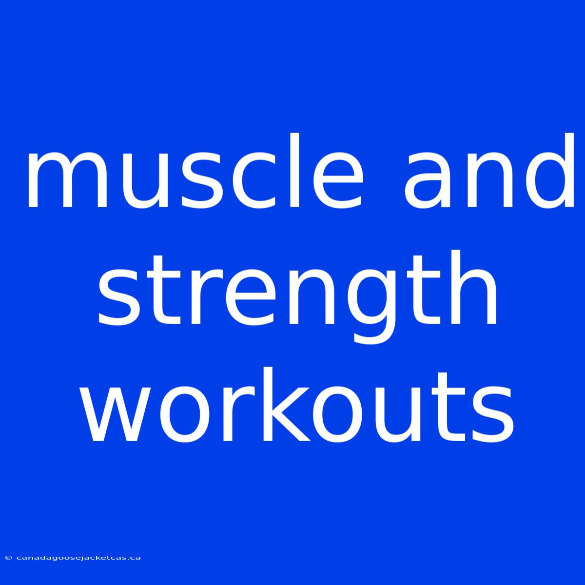 Muscle And Strength Workouts