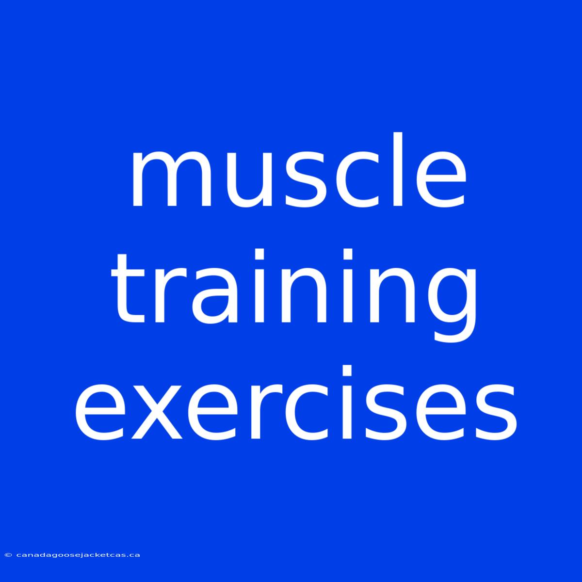 Muscle Training Exercises