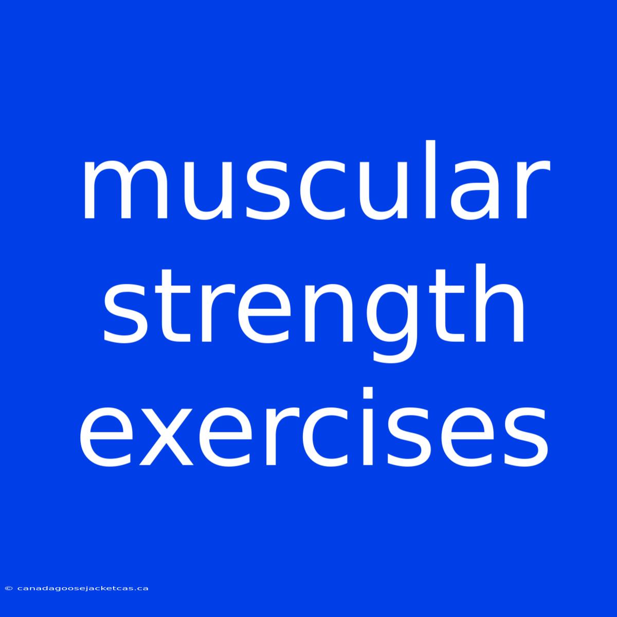 Muscular Strength Exercises