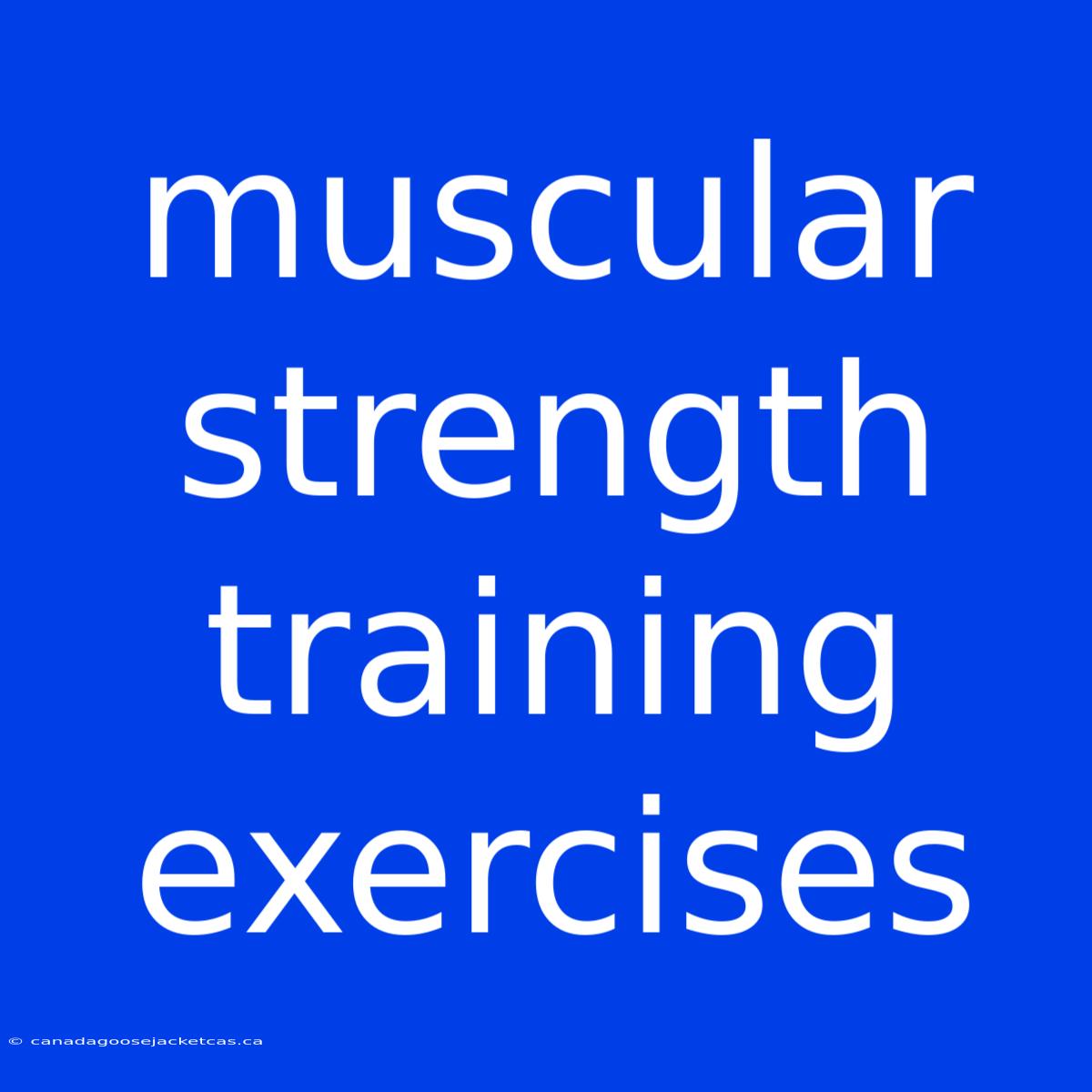 Muscular Strength Training Exercises