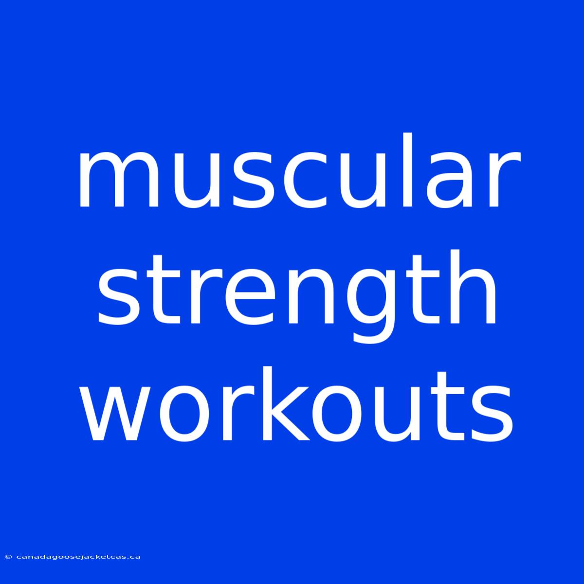 Muscular Strength Workouts