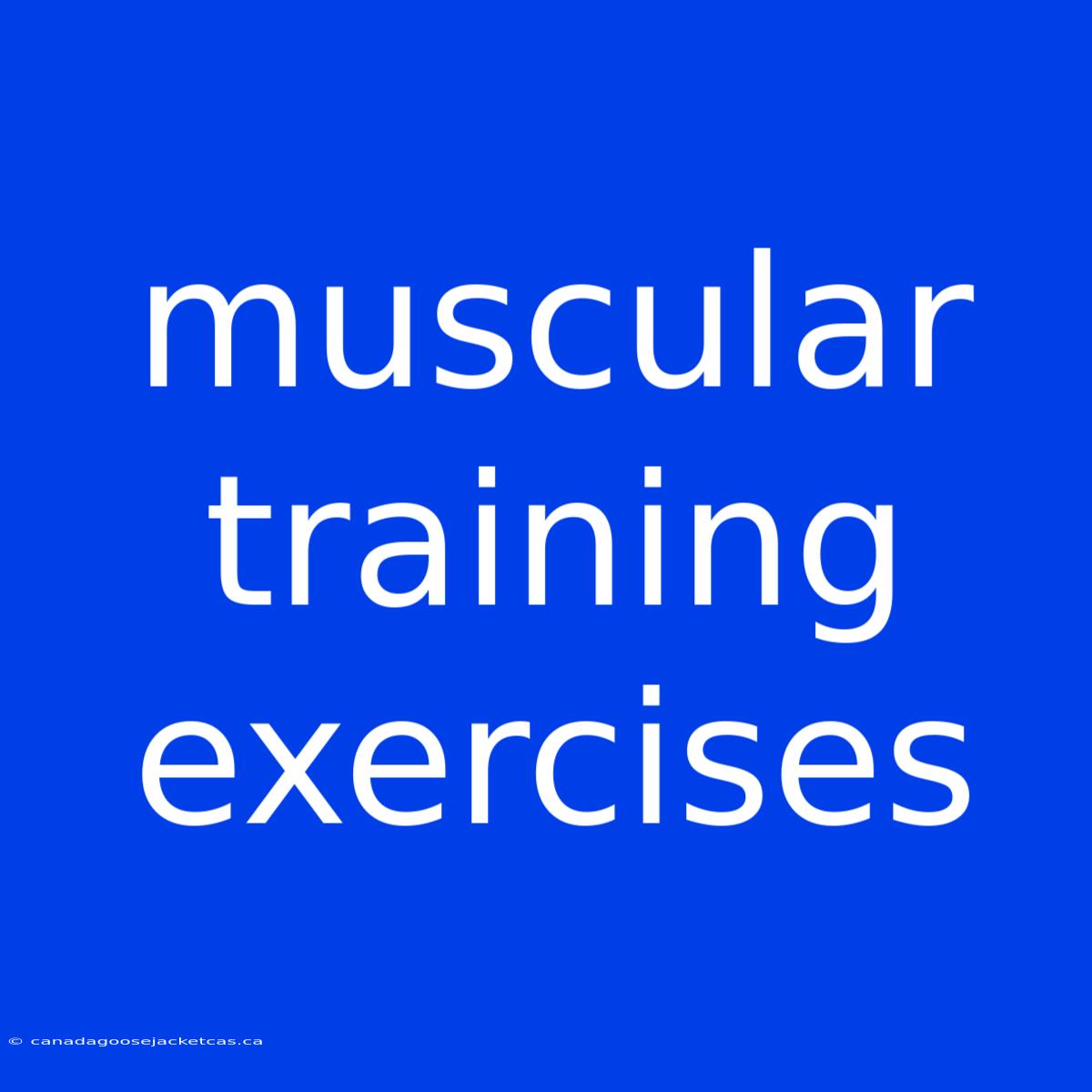 Muscular Training Exercises