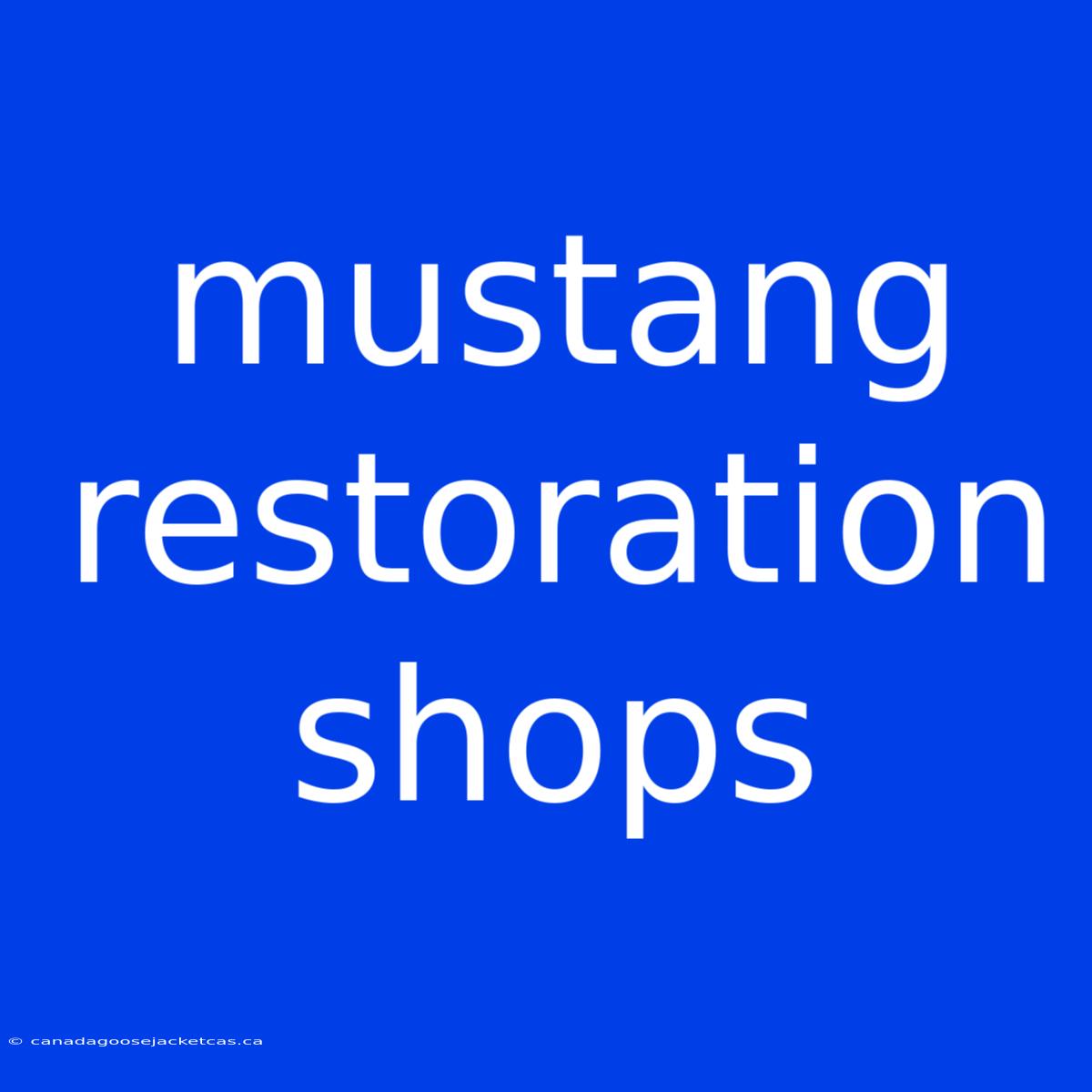 Mustang Restoration Shops