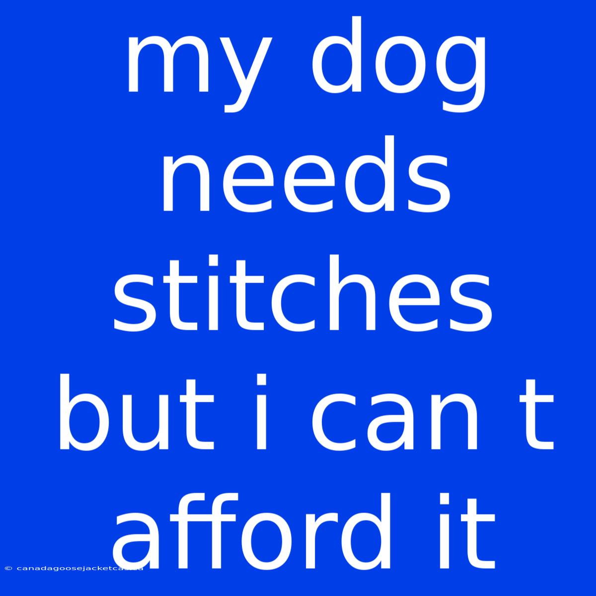 My Dog Needs Stitches But I Can T Afford It