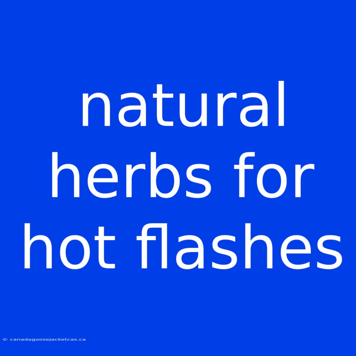 Natural Herbs For Hot Flashes