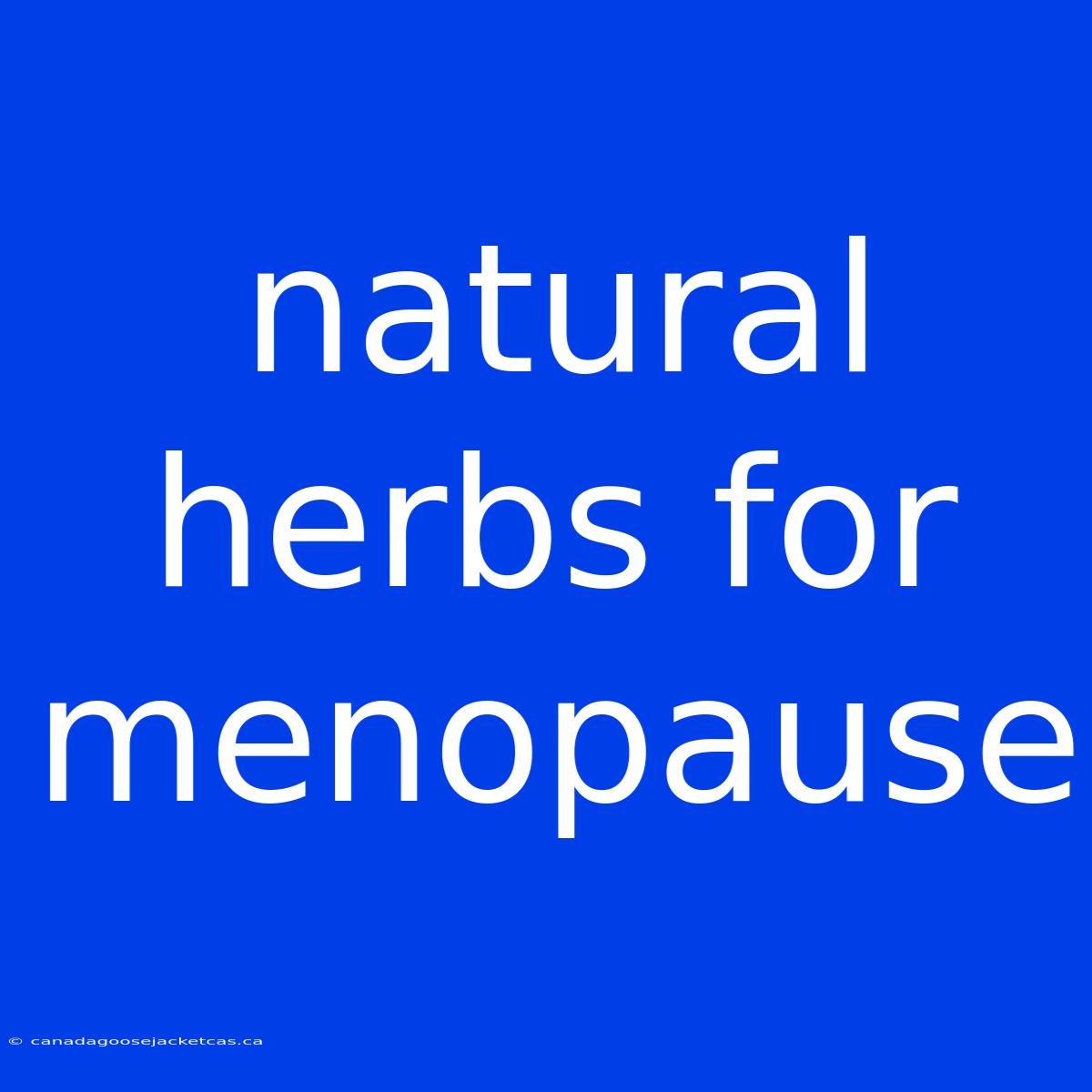 Natural Herbs For Menopause