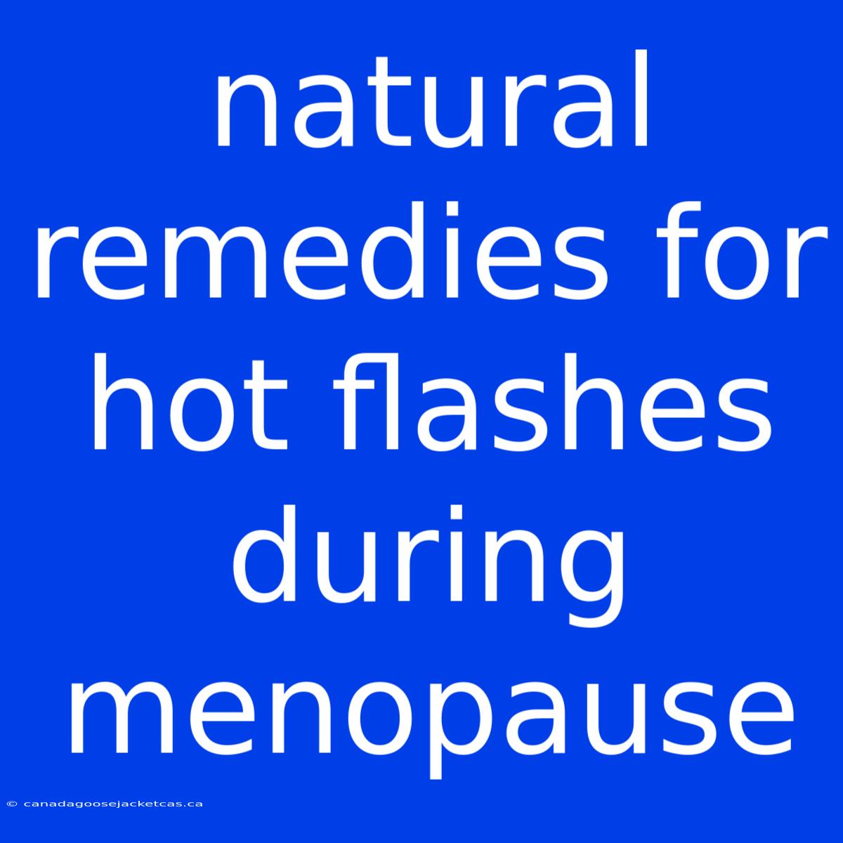 Natural Remedies For Hot Flashes During Menopause