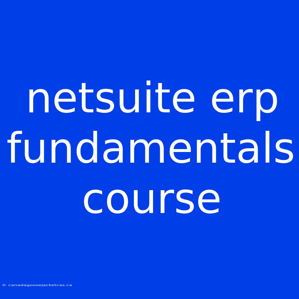 Netsuite Erp Fundamentals Course