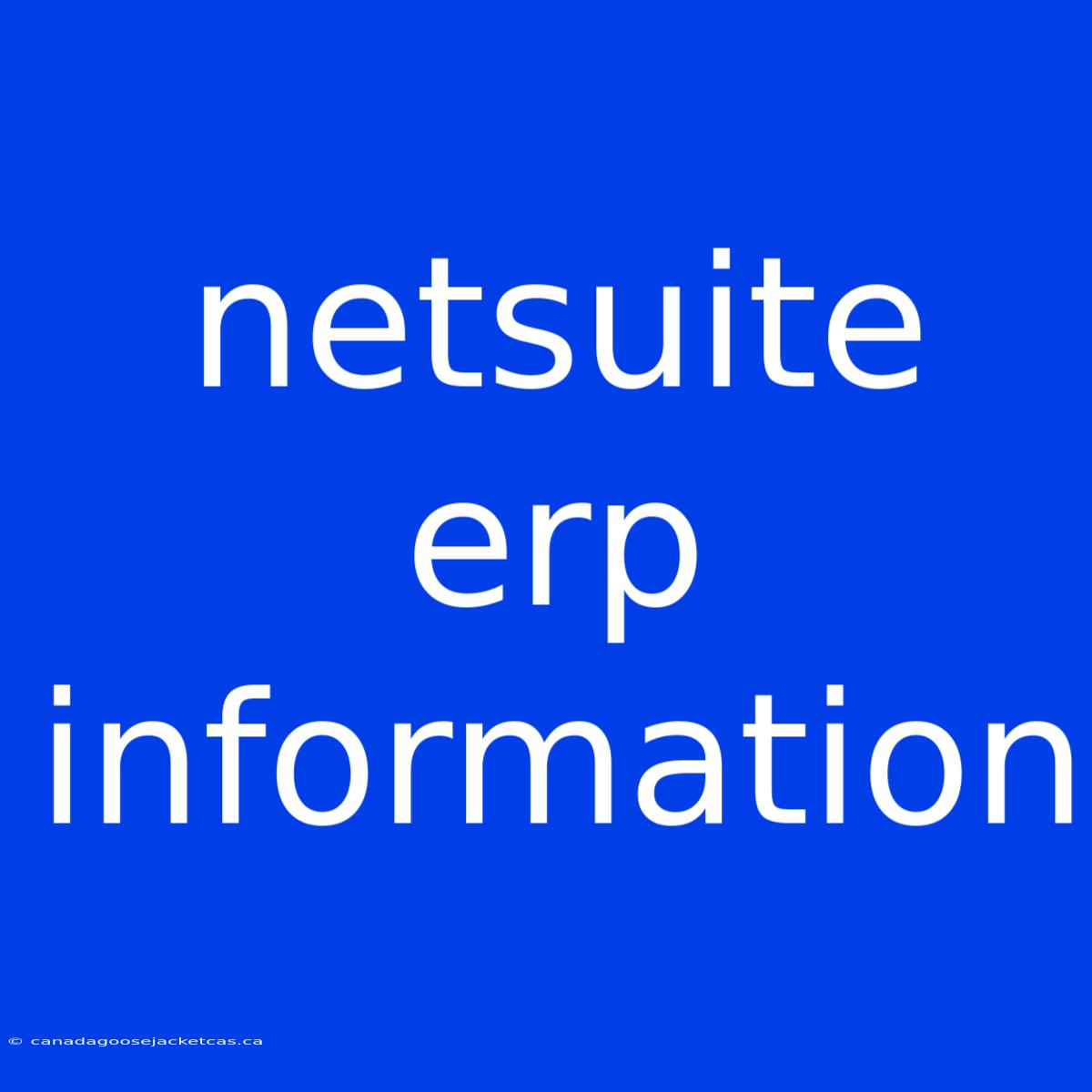 Netsuite Erp Information