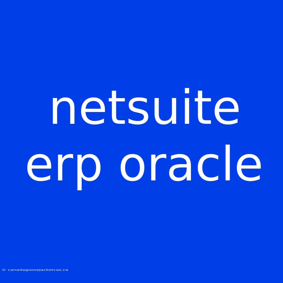 Netsuite Erp Oracle