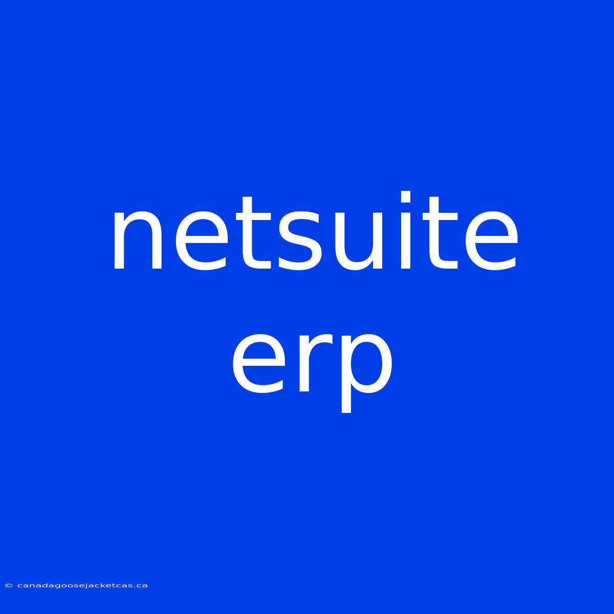 Netsuite Erp