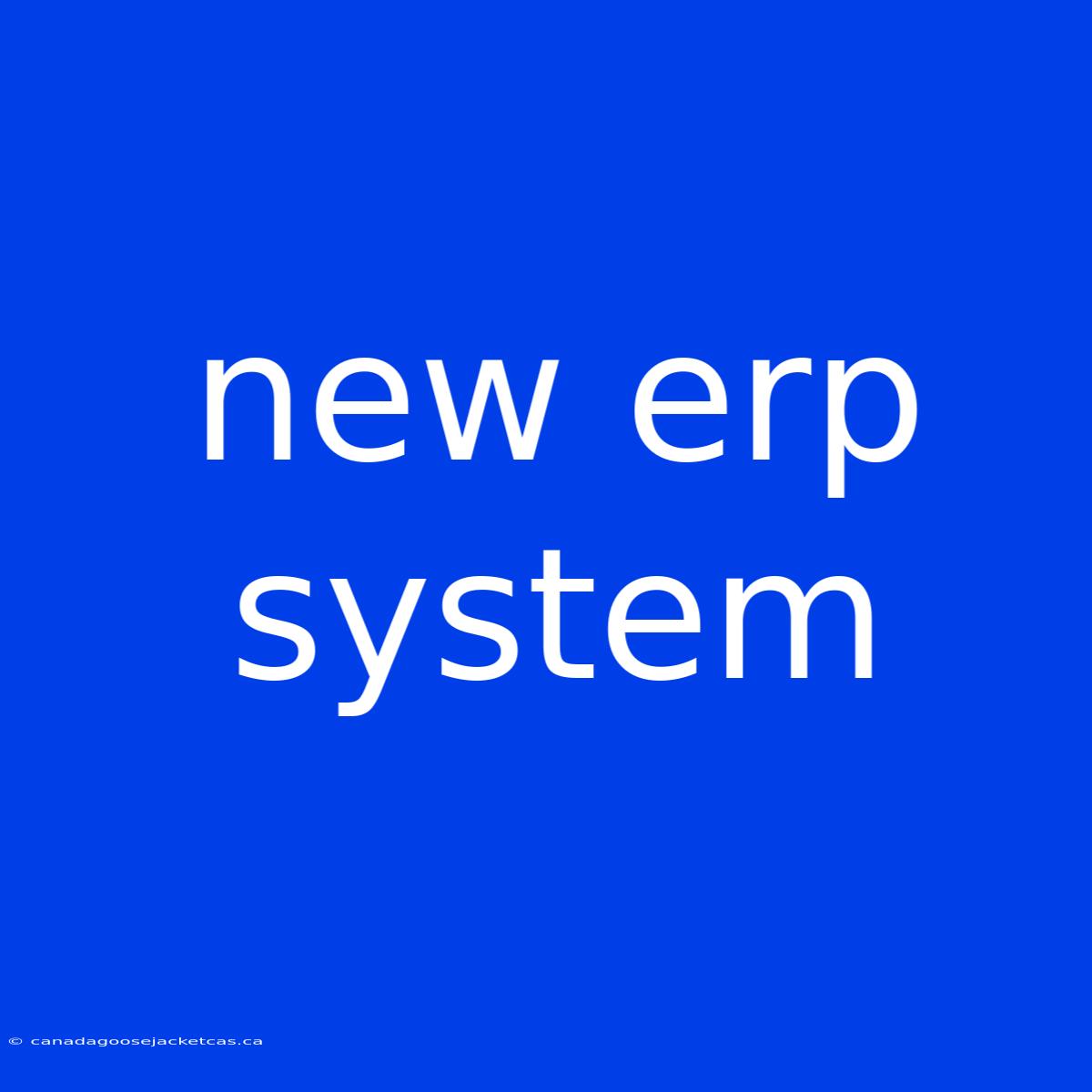 New Erp System