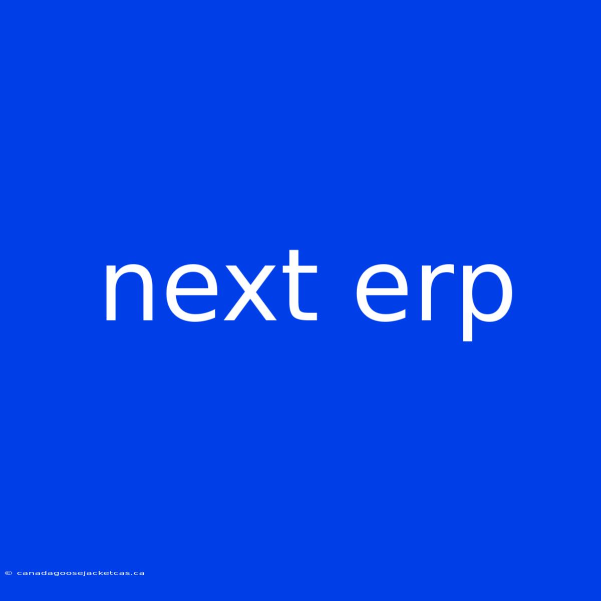 Next Erp