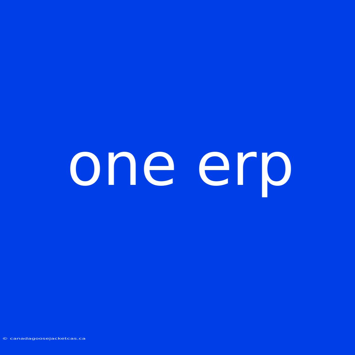 One Erp