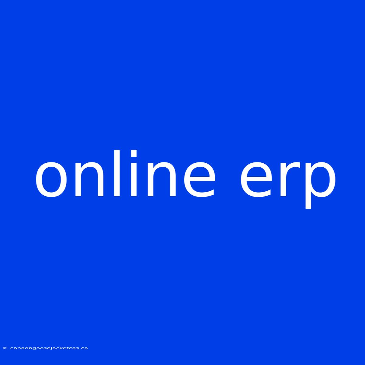 Online Erp