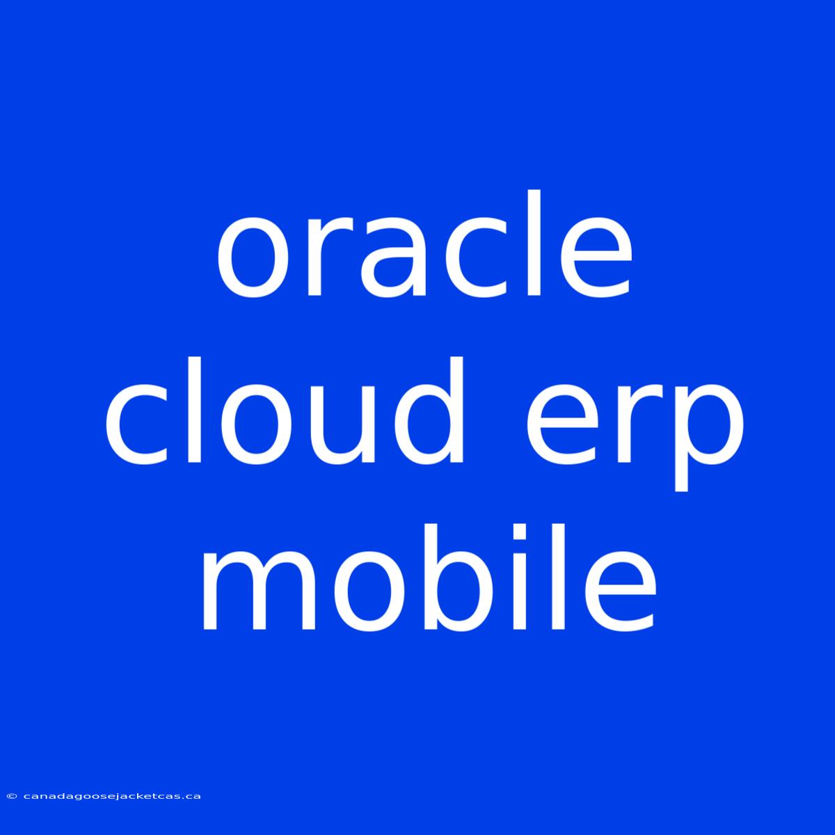 Oracle Cloud Erp Mobile