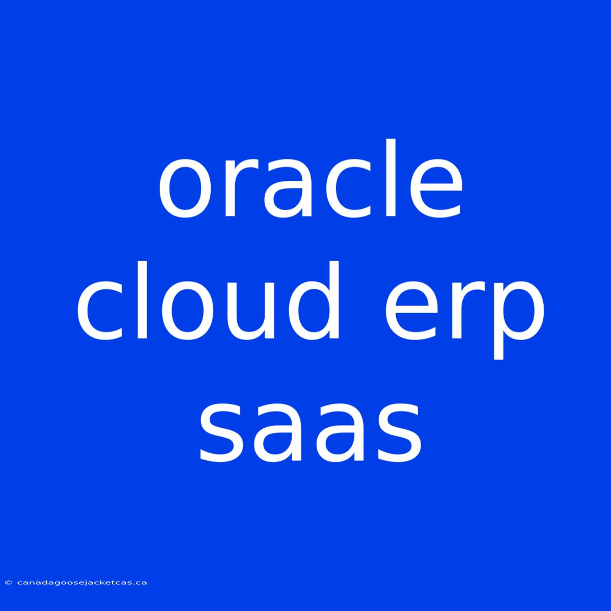 Oracle Cloud Erp Saas