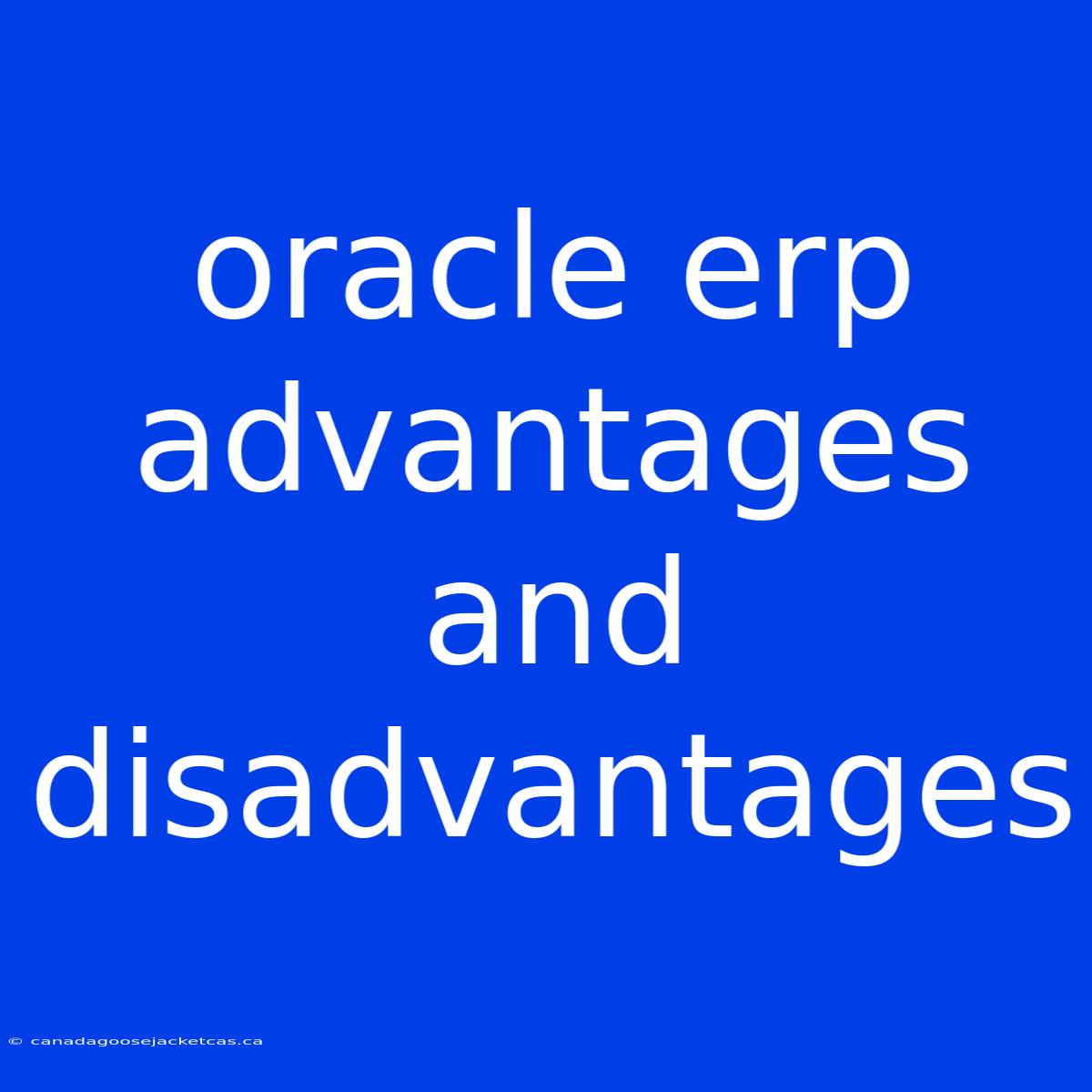 Oracle Erp Advantages And Disadvantages