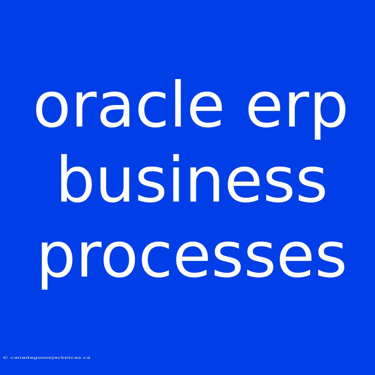 Oracle Erp Business Processes