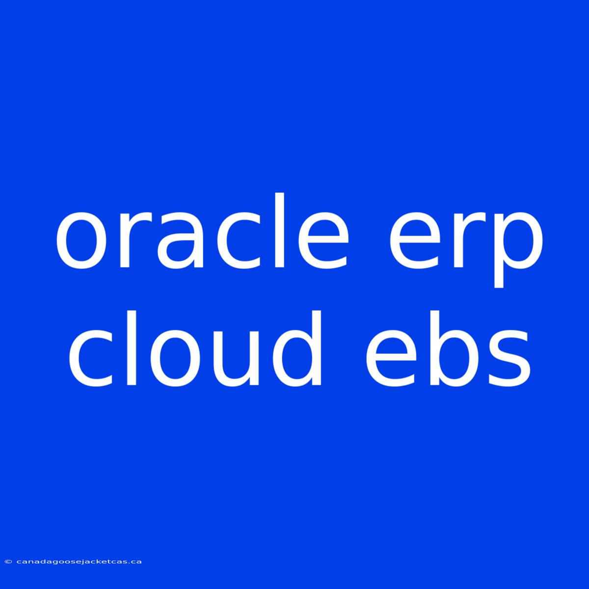 Oracle Erp Cloud Ebs