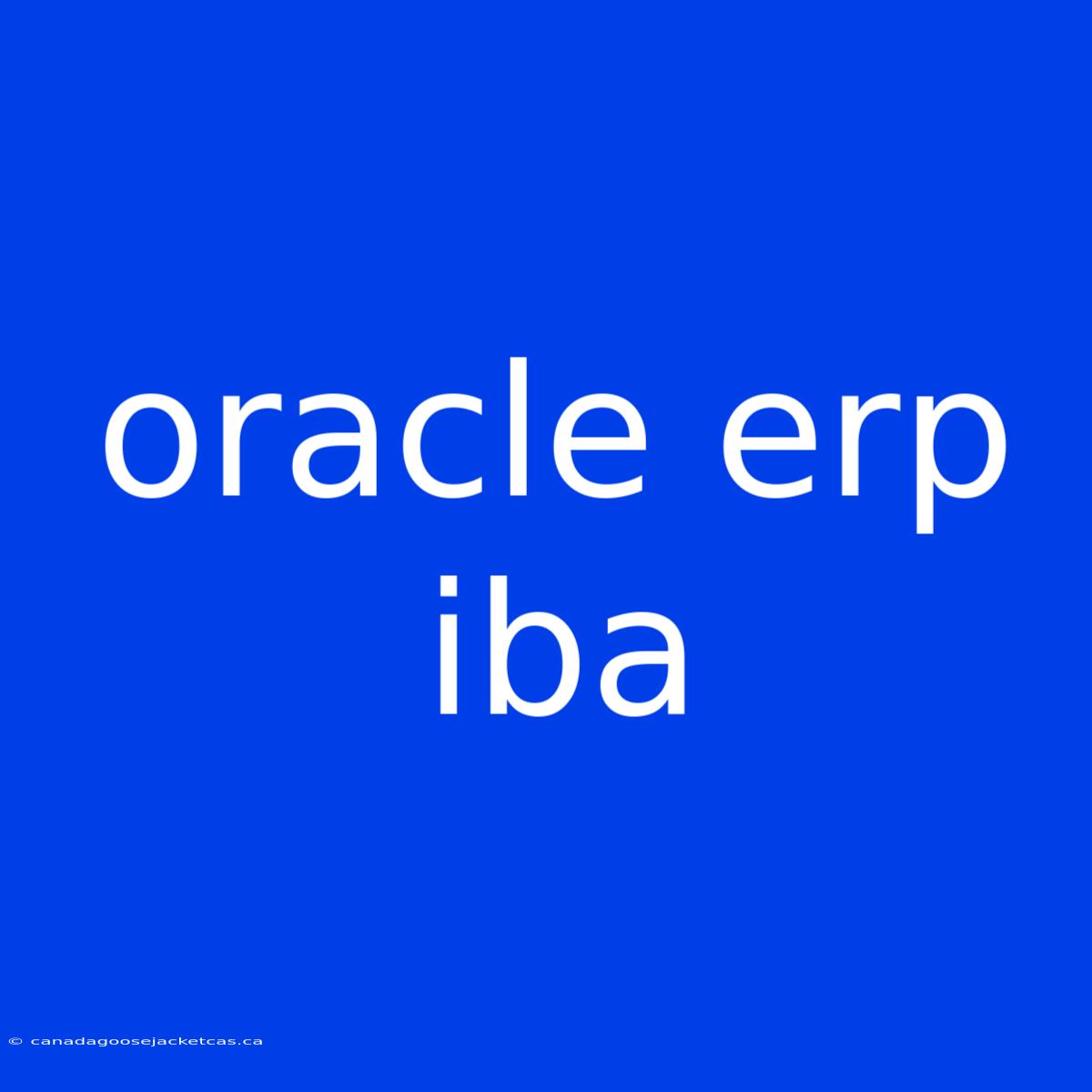 Oracle Erp Iba