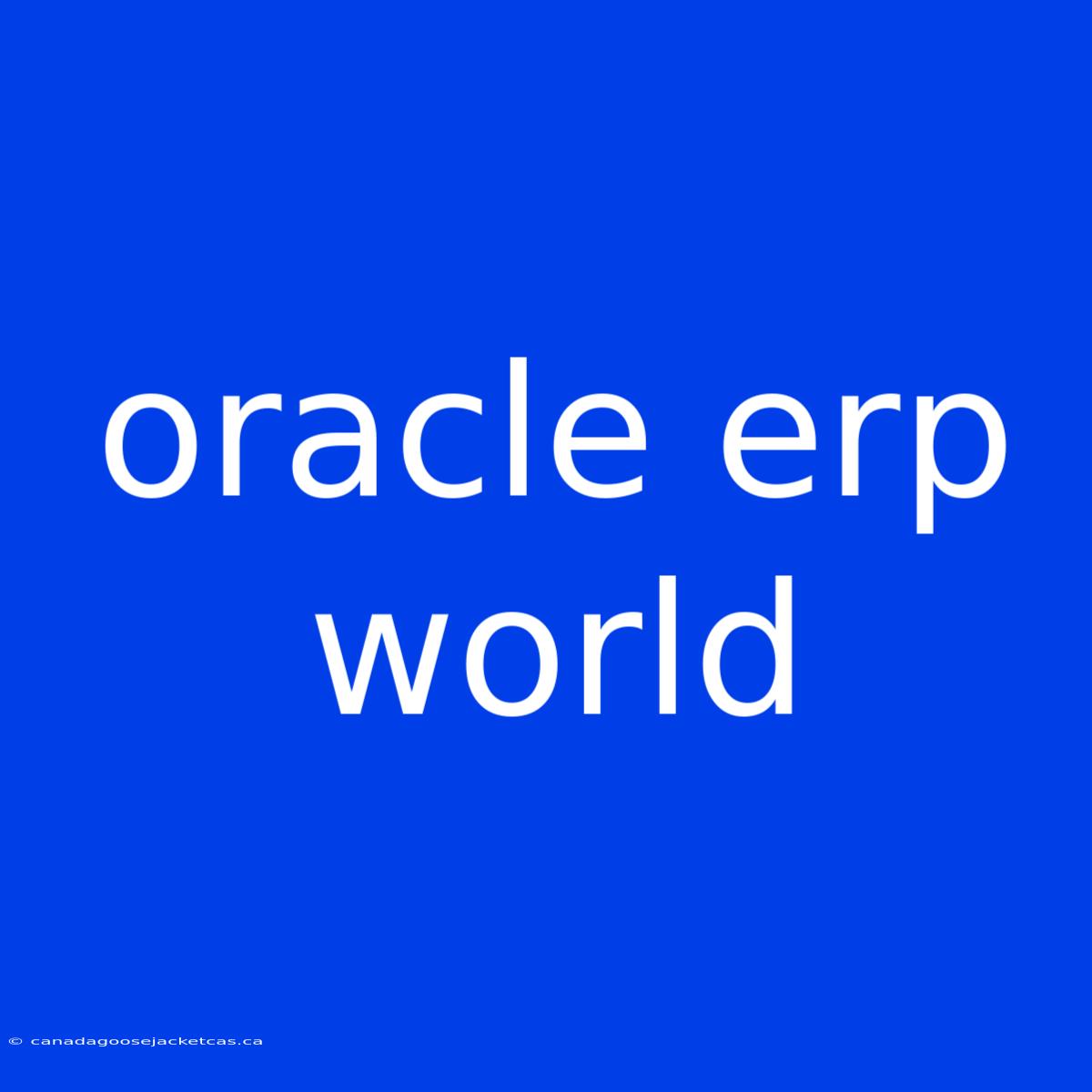 Oracle Erp World