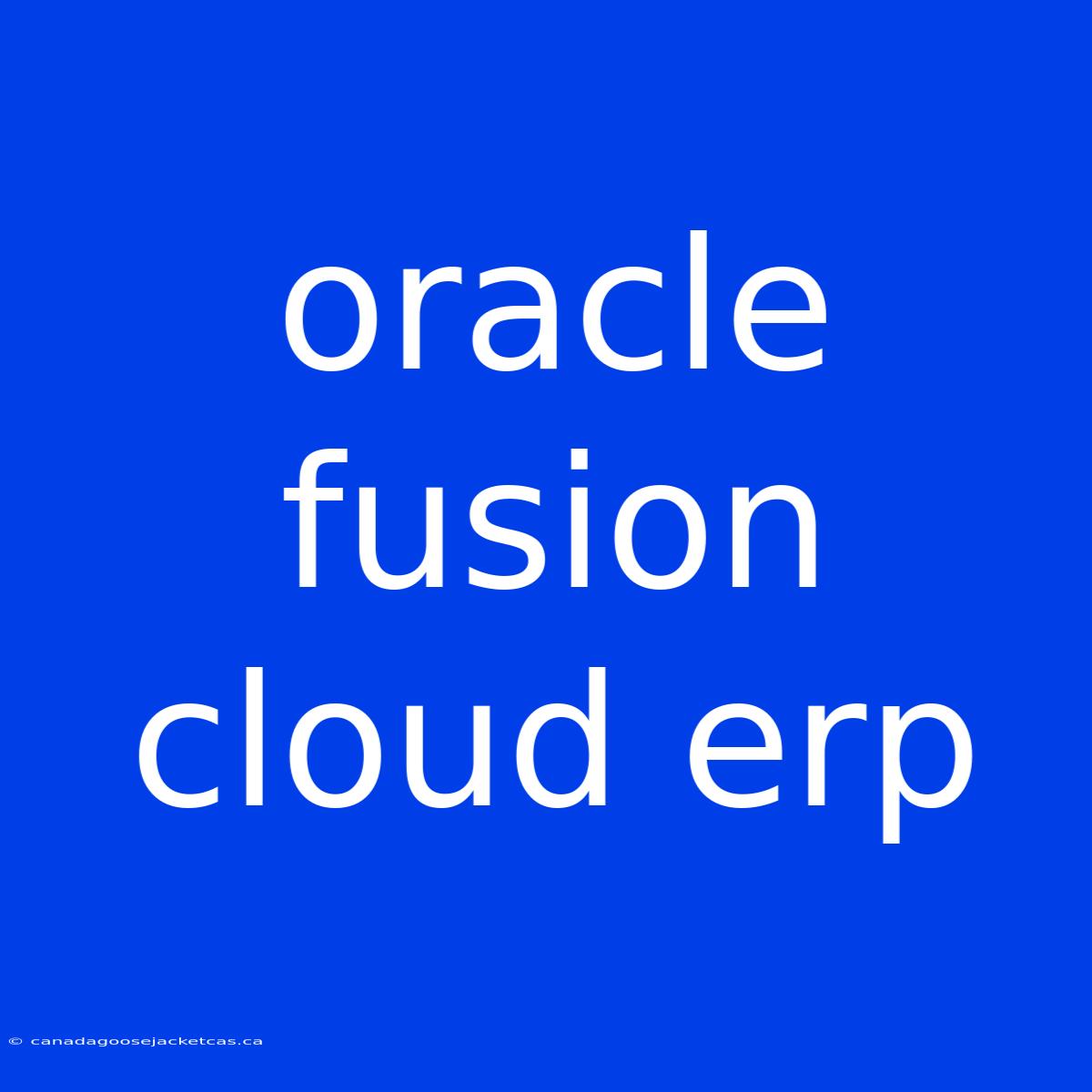 Oracle Fusion Cloud Erp