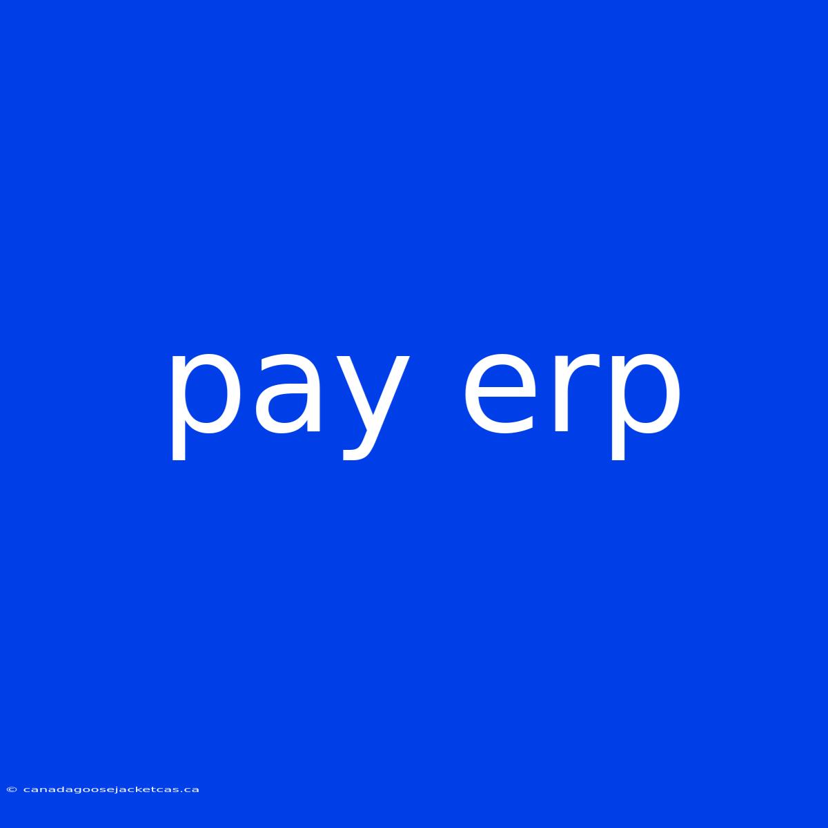 Pay Erp