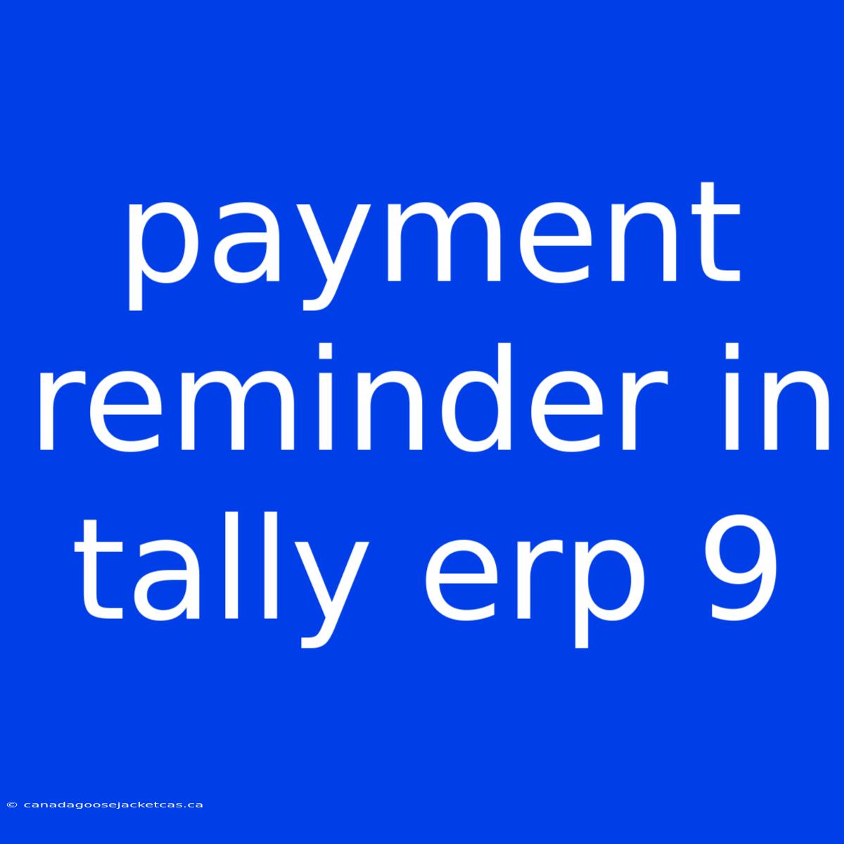 Payment Reminder In Tally Erp 9