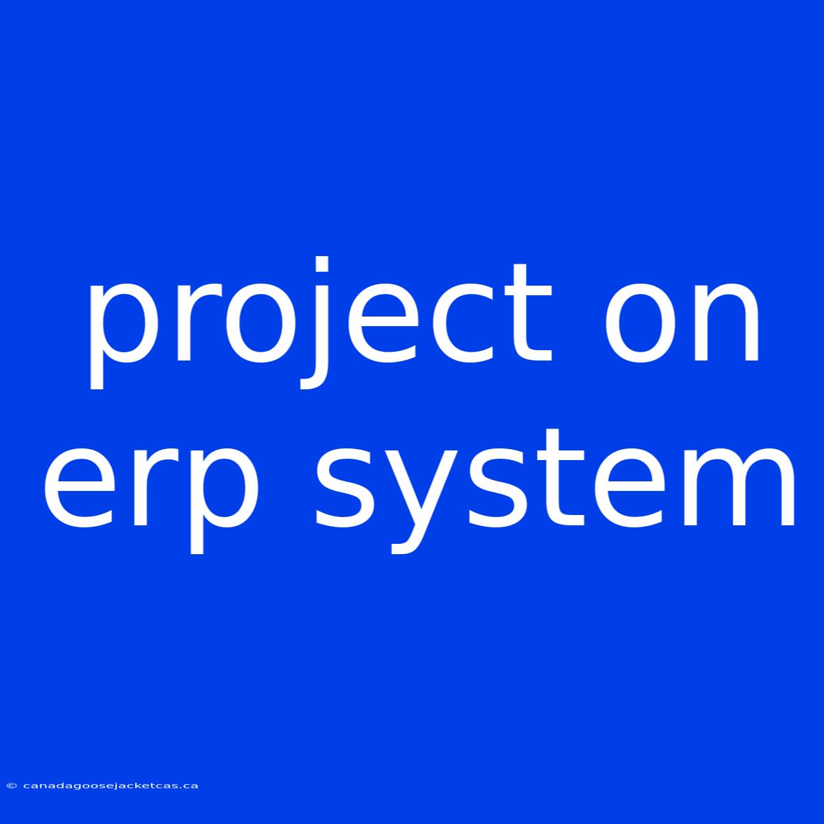 Project On Erp System