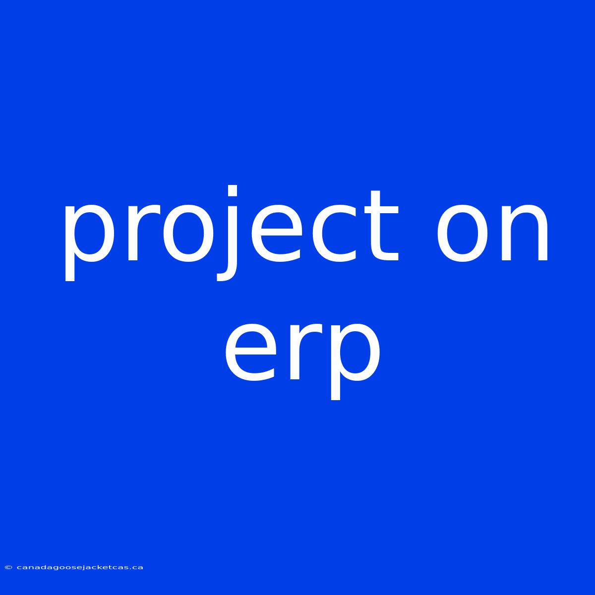 Project On Erp