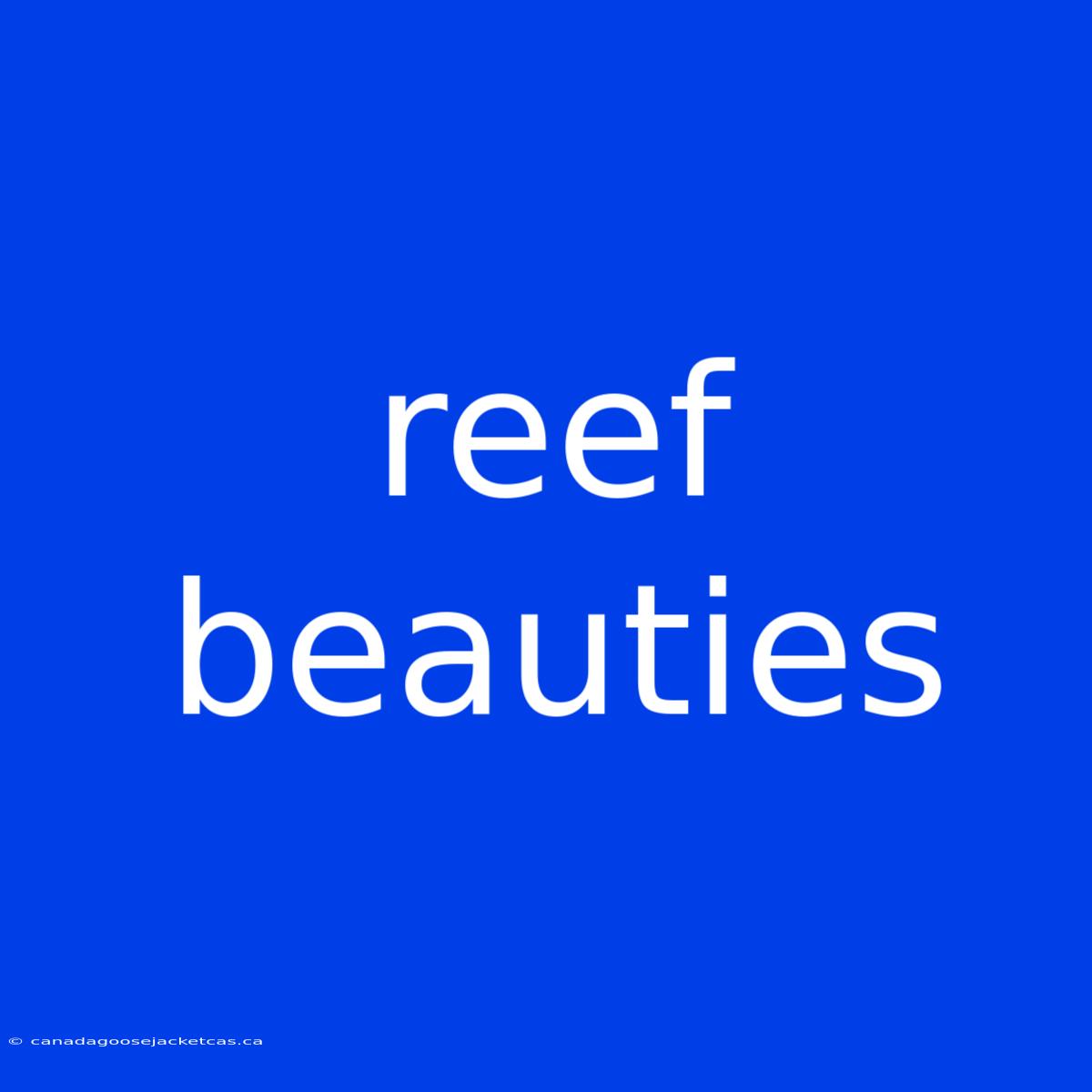 Reef Beauties