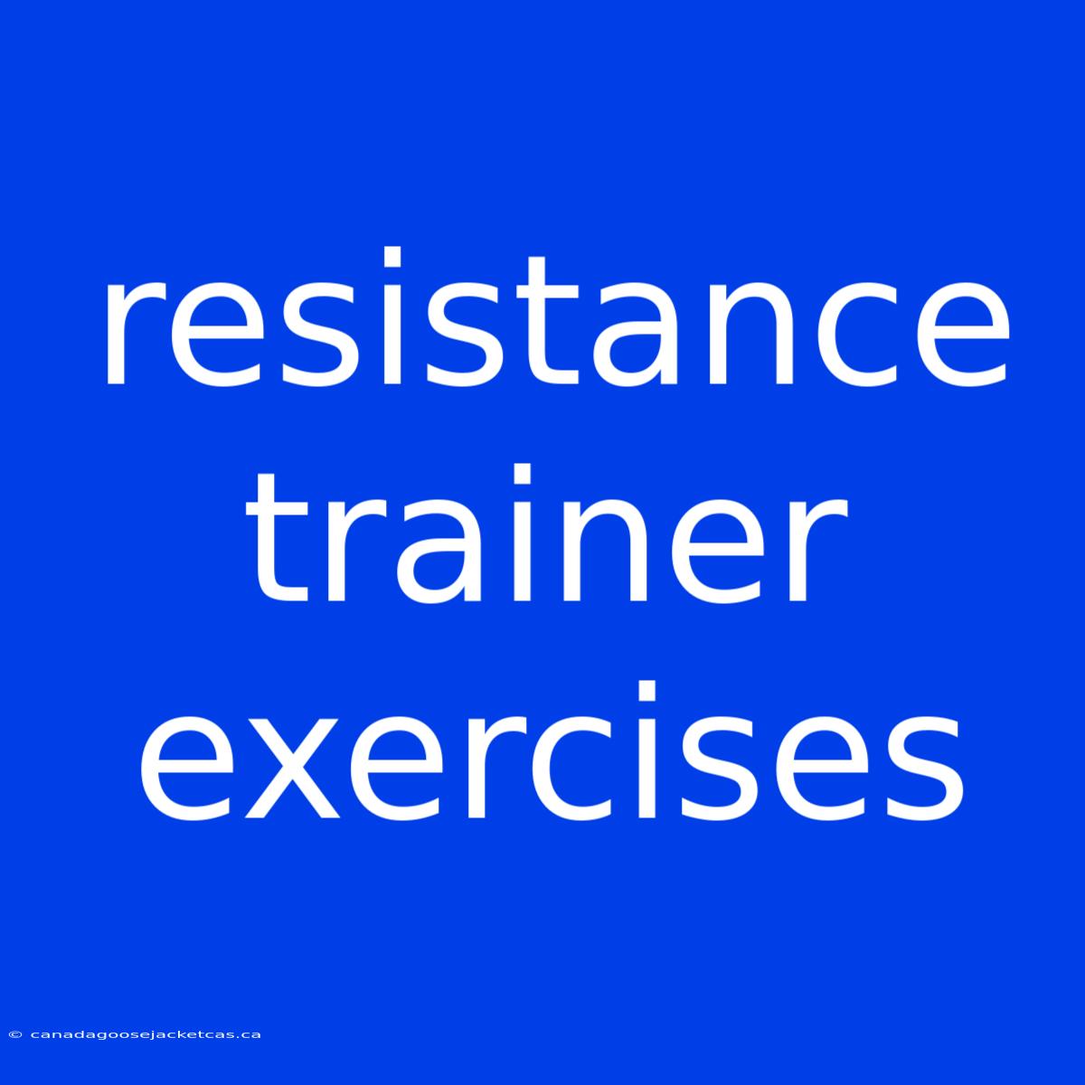 Resistance Trainer Exercises