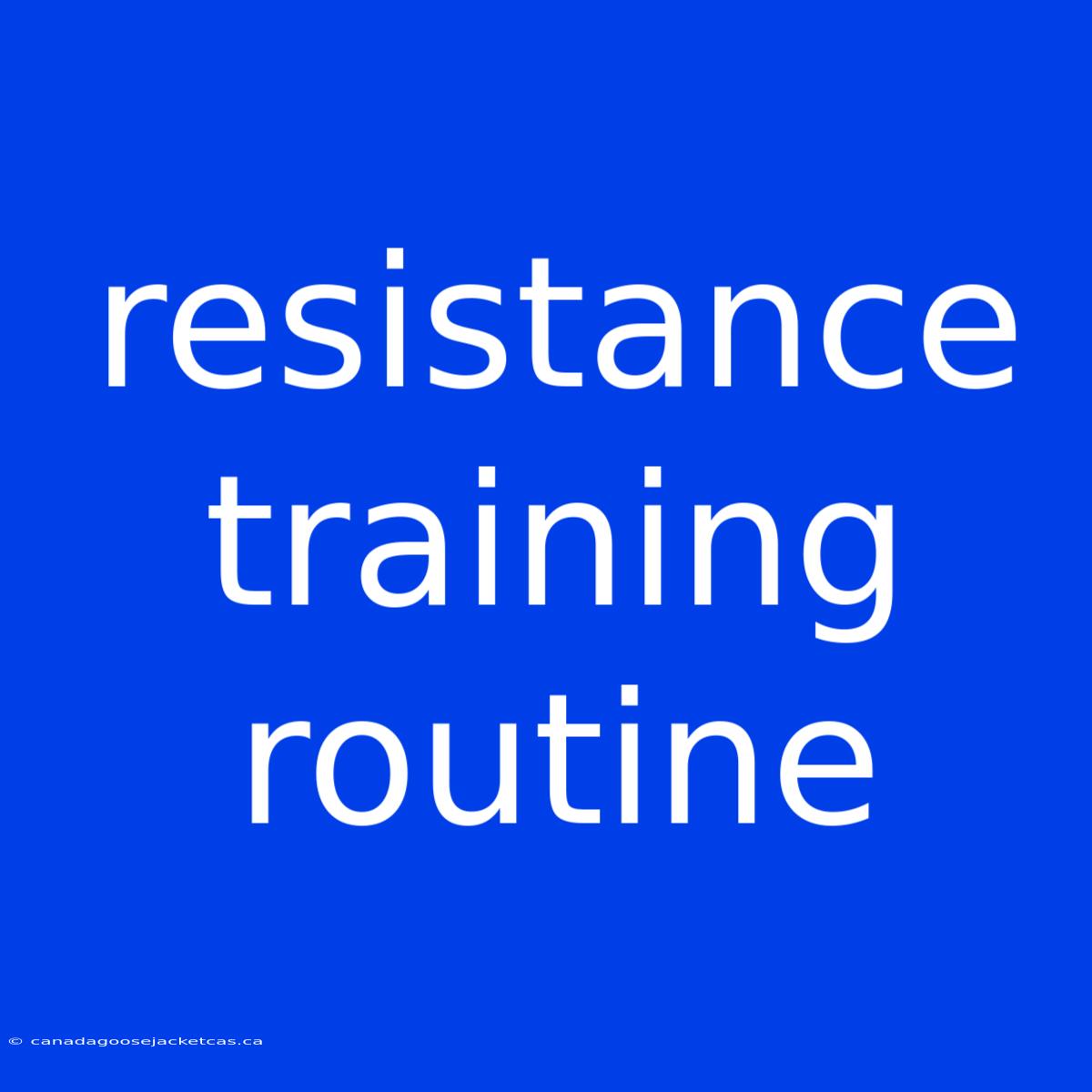 Resistance Training Routine