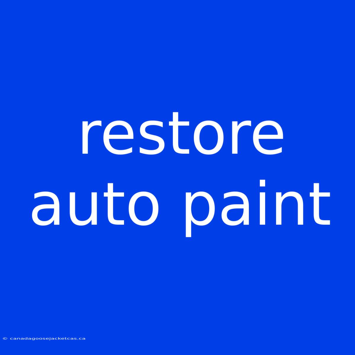 Restore Auto Paint