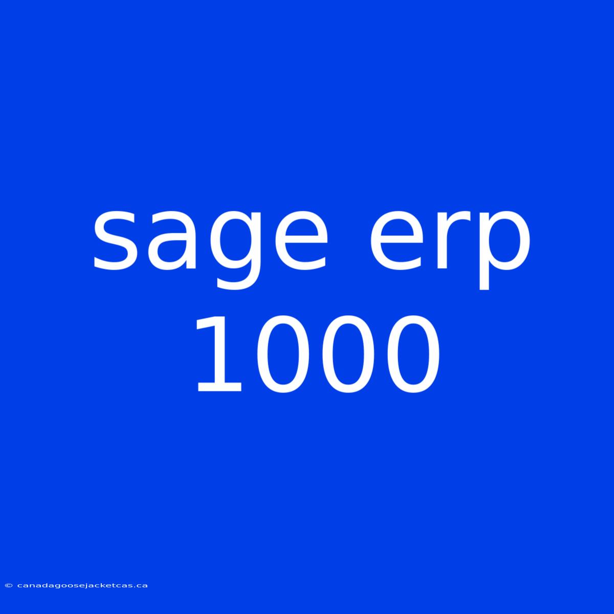 Sage Erp 1000