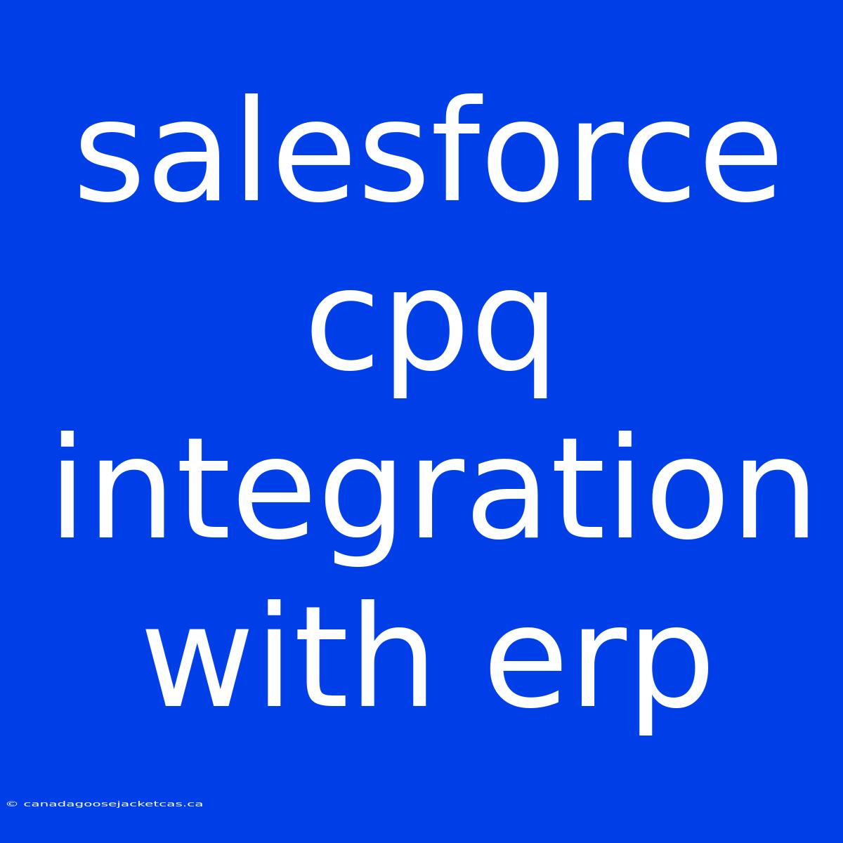 Salesforce Cpq Integration With Erp