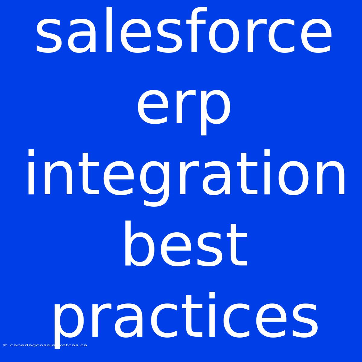 Salesforce Erp Integration Best Practices