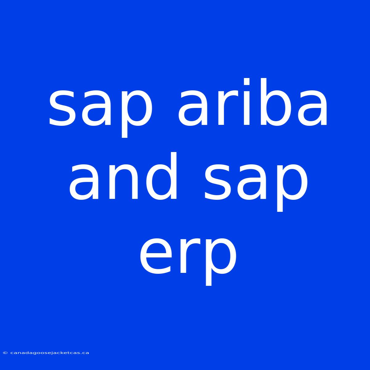 Sap Ariba And Sap Erp