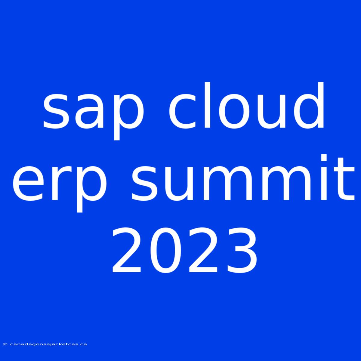 Sap Cloud Erp Summit 2023