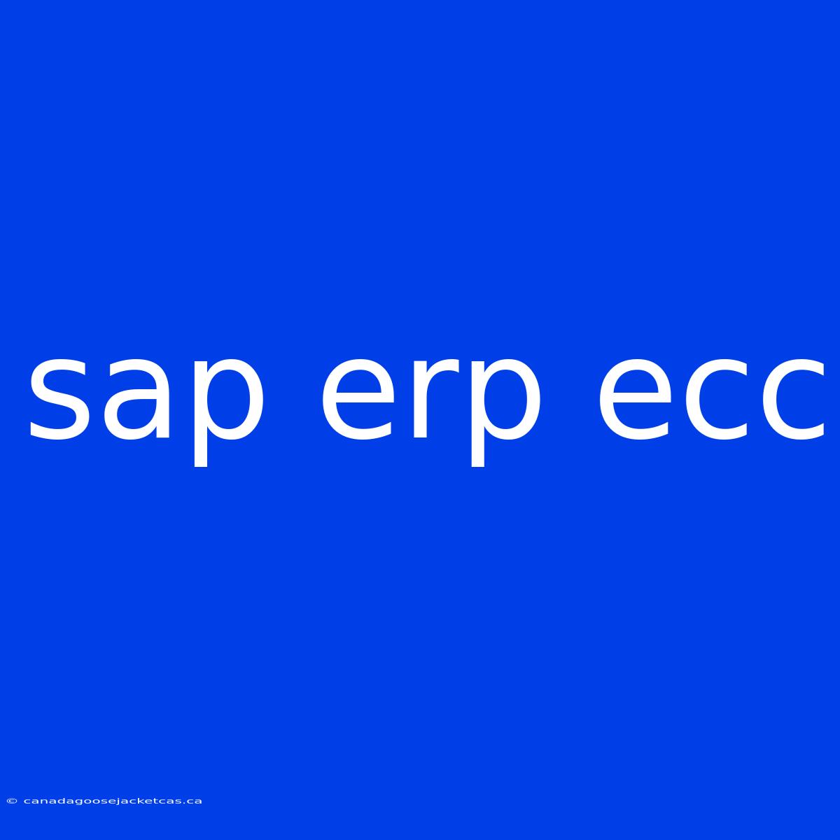 Sap Erp Ecc