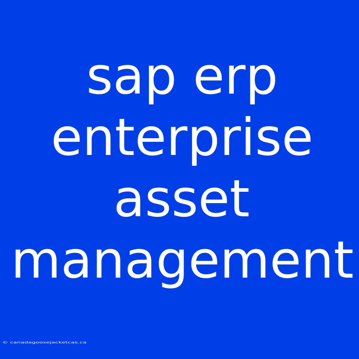 Sap Erp Enterprise Asset Management