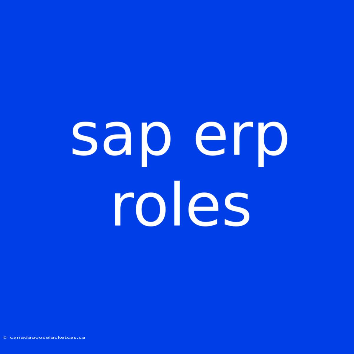 Sap Erp Roles