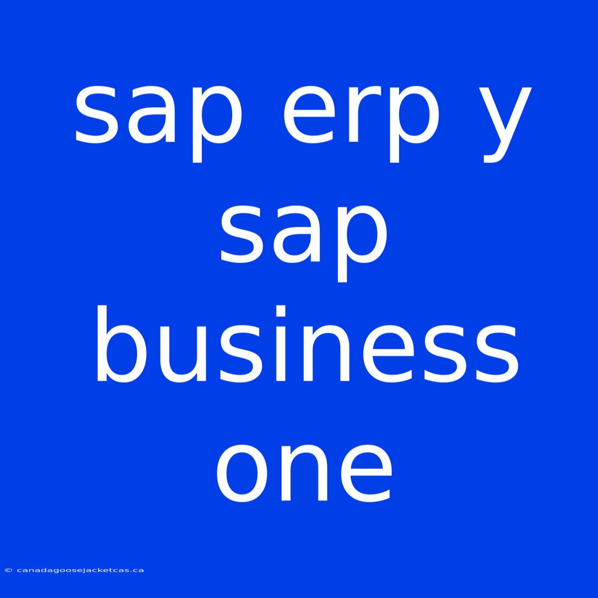 Sap Erp Y Sap Business One