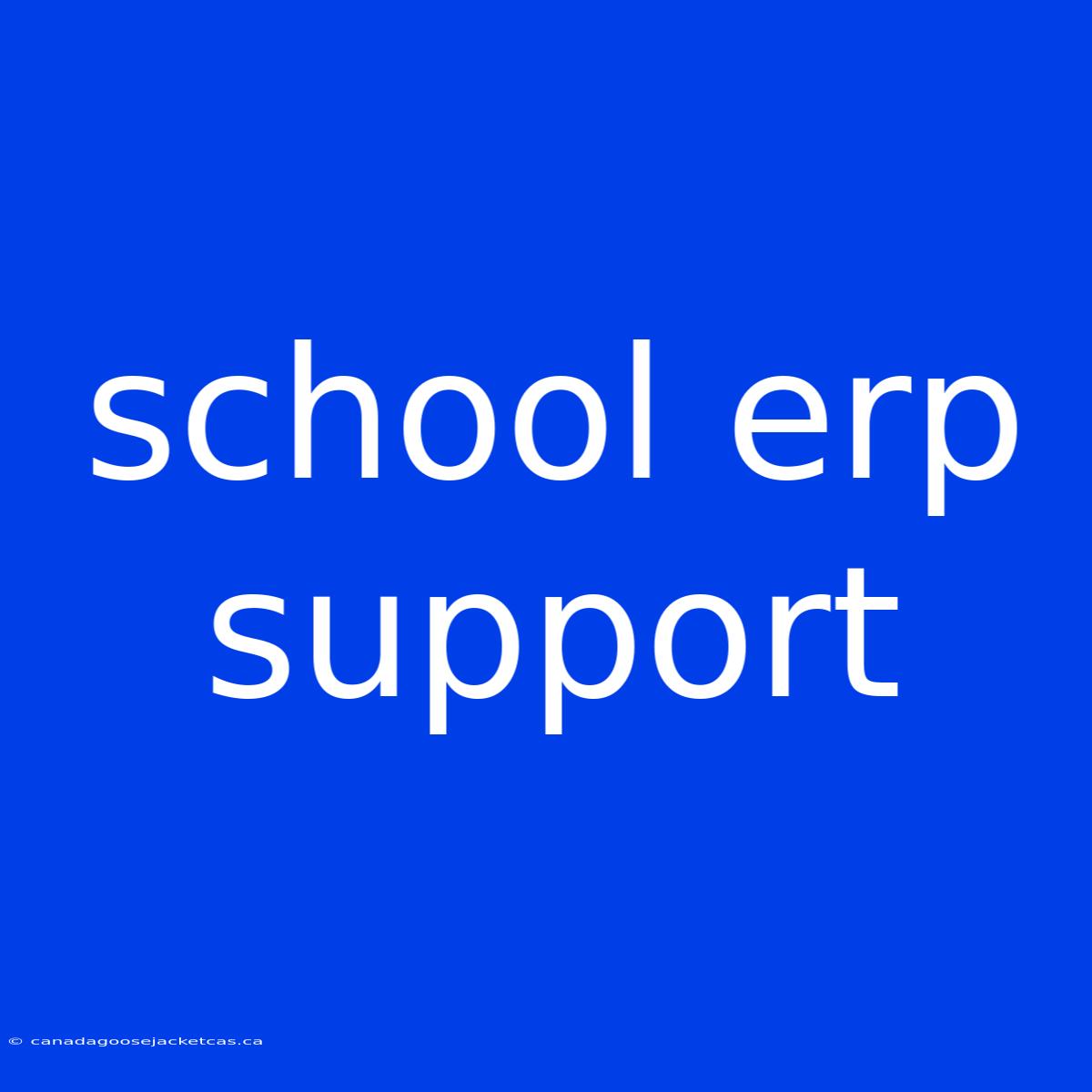 School Erp Support