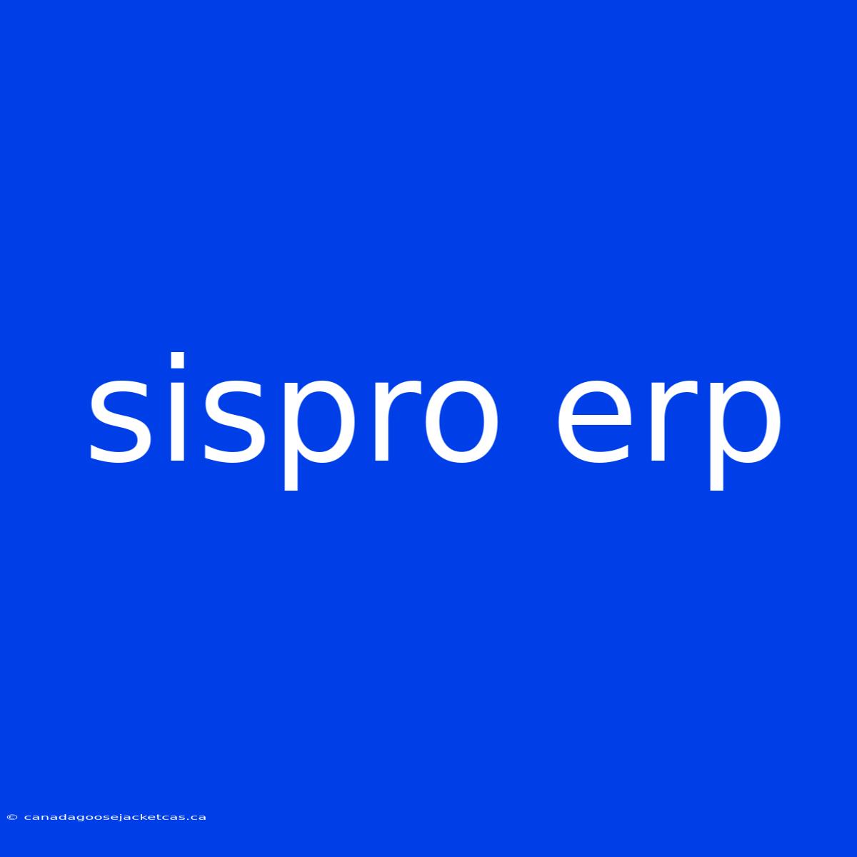 Sispro Erp