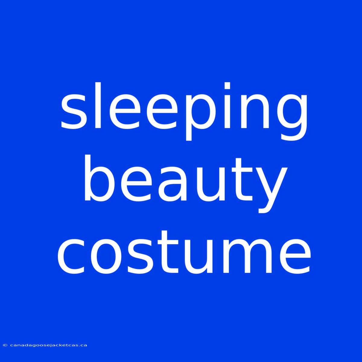 Sleeping Beauty Costume