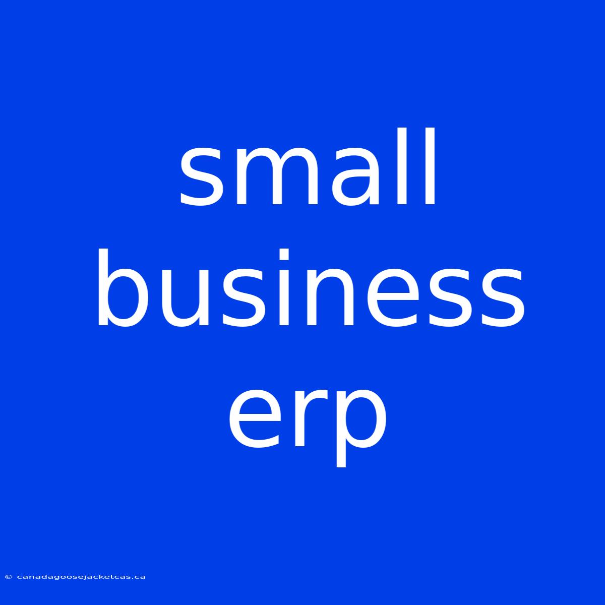 Small Business Erp